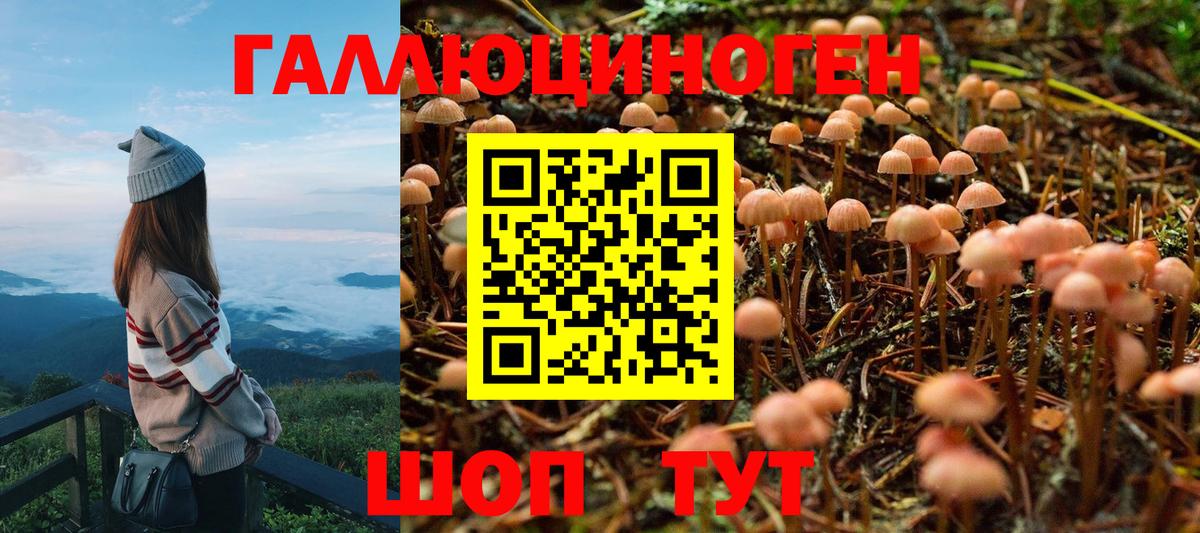 Набережные Челны  Псилоцибиновые грибы GOLDEN TEACHER  где купить наркотик  Вход с VPN 